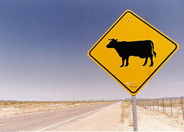 Rebellion展示虚幻5打造“恐龙项目” 模型栩栩如生